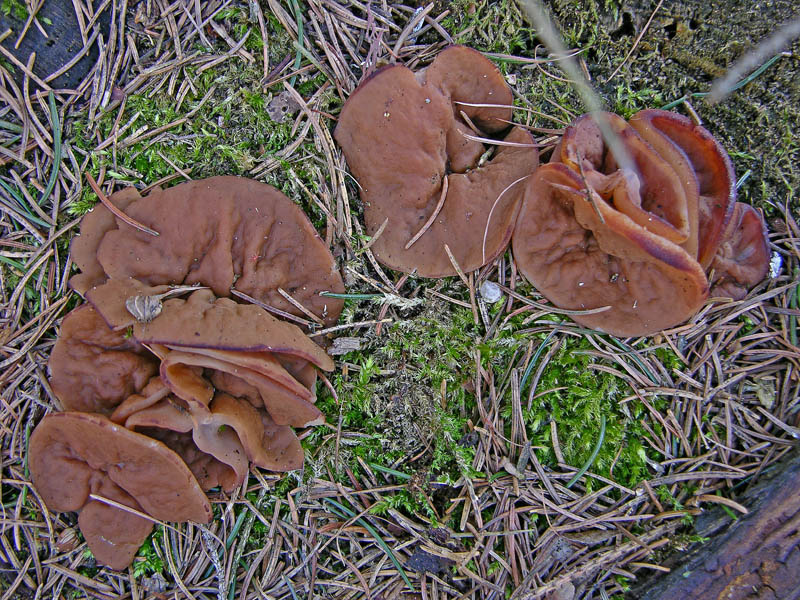 Ritrovamenti, mercoledi 10 aprile.